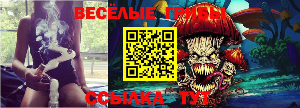 Кизилюрт  даркнет сайт  Псилоцибиновые грибы ЛСД  Вход с VPN  Псилоцибиновые грибы мухоморы 