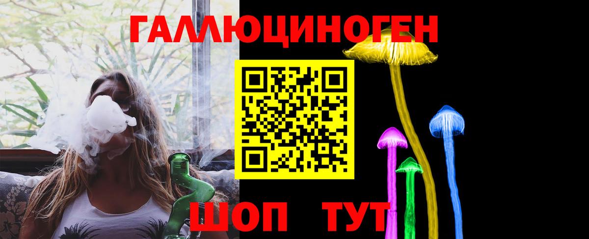 Псилоцибиновые грибы Psilocybine cubensis Кизилюрт